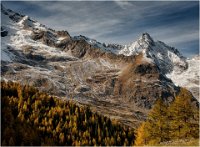 54 - MONTAGNE EN OCTOBRE - LARUELLE SUZANNE - belgium